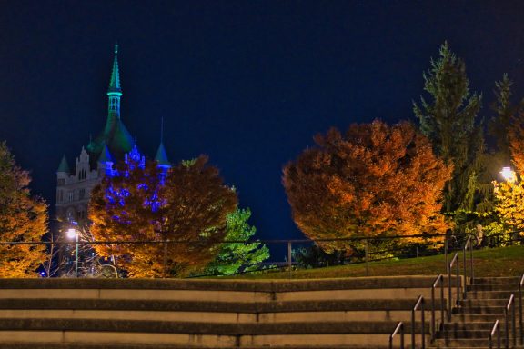 Night scene featuring illuminated trees with autumn foliage and a tower in the background.
