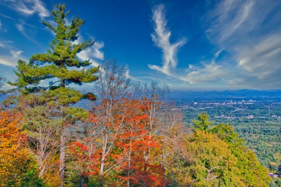 Scenic view of a landscape with autumn foliage and a vibrant blue sky.