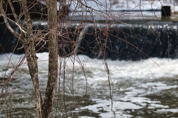 Flow of water over a small dam, with bare tree branches nearby.