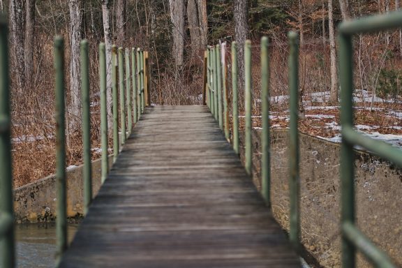 Wooden bridge with green railings, surrounded by trees and winter scenery.