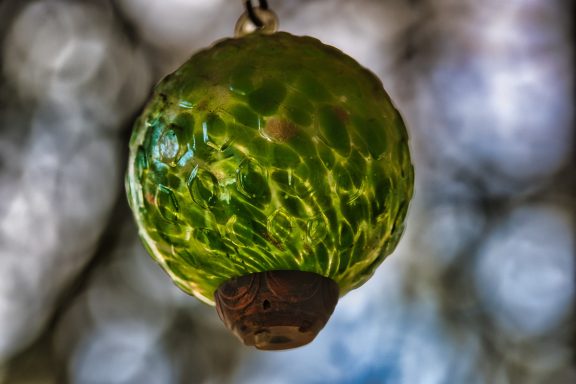 Close-up of a green, textured fruit hanging from a branch.